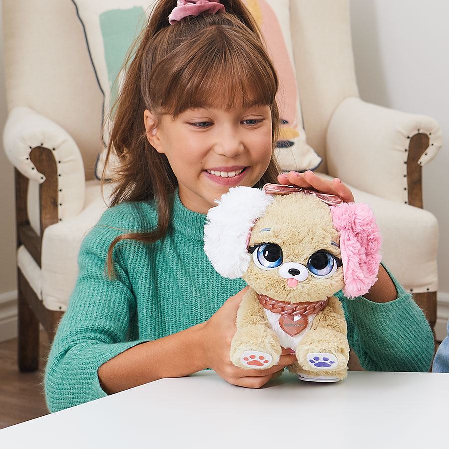 61926530-004-PR-P-MI-MASCOTA-REGALO-FANCY.jpg