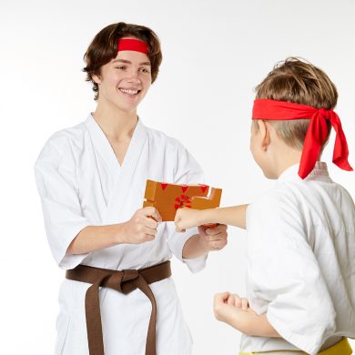 karate kai netflix